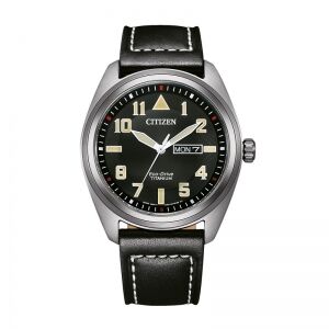 Citizen BM8560-29EE	